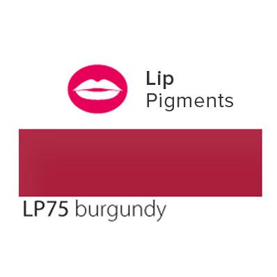 Pigmentos PUREBEAU microblading 3ml - BURGUNDY - Labios (PIG-004)