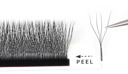 Pestañas Tecnológicas Hybrid Easy Lash 4D grosor 007 - 12 Líneas