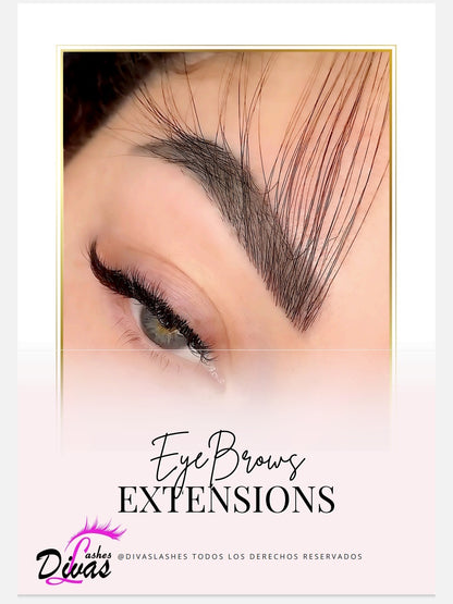 Extensiones de cejas 3D